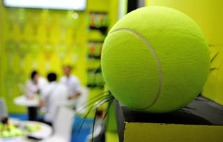 2014中国体博会武汉开幕 网球产品的展厅